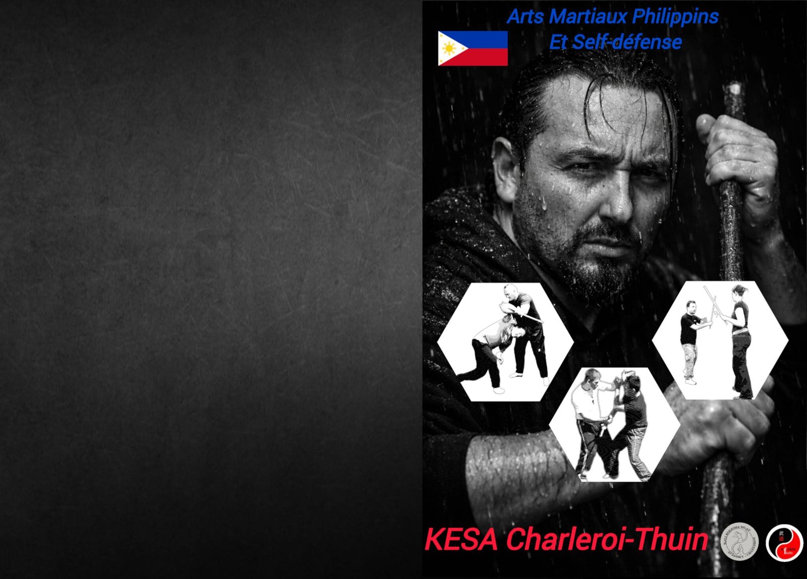 flipped generated raimondo instructor with logo